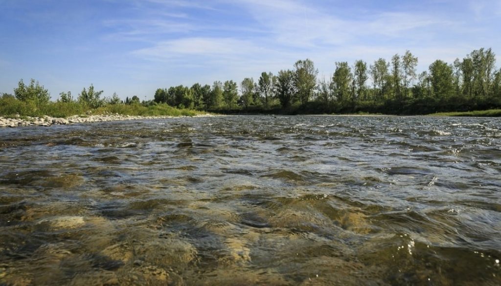 fiume piave vicino conegliano